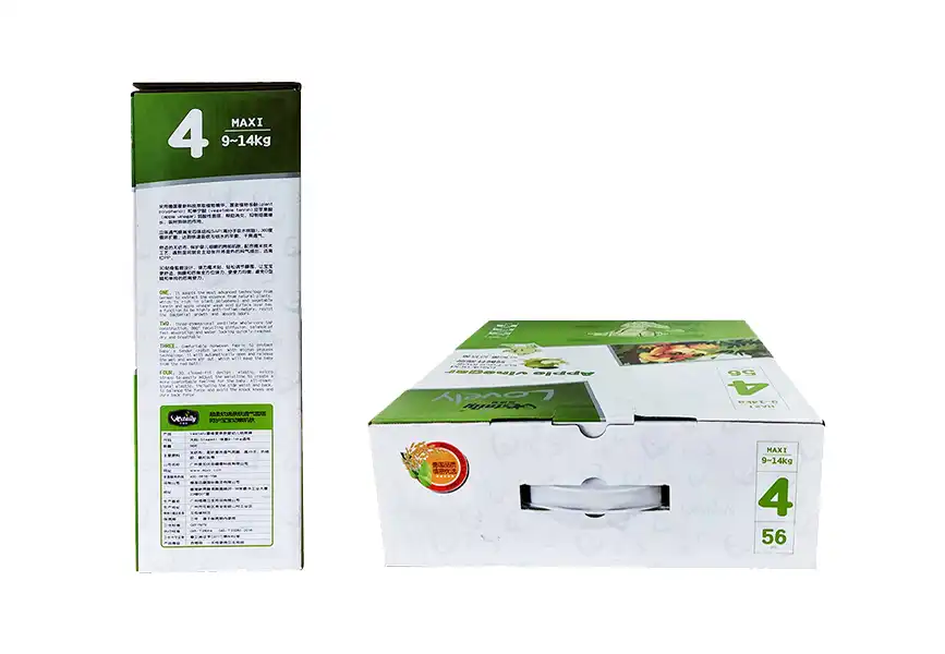 collapsible gift boxes with lids