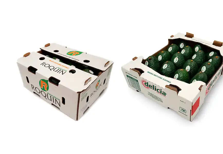 2025's Most Durable Collapsible Boxes for Gifts Designs